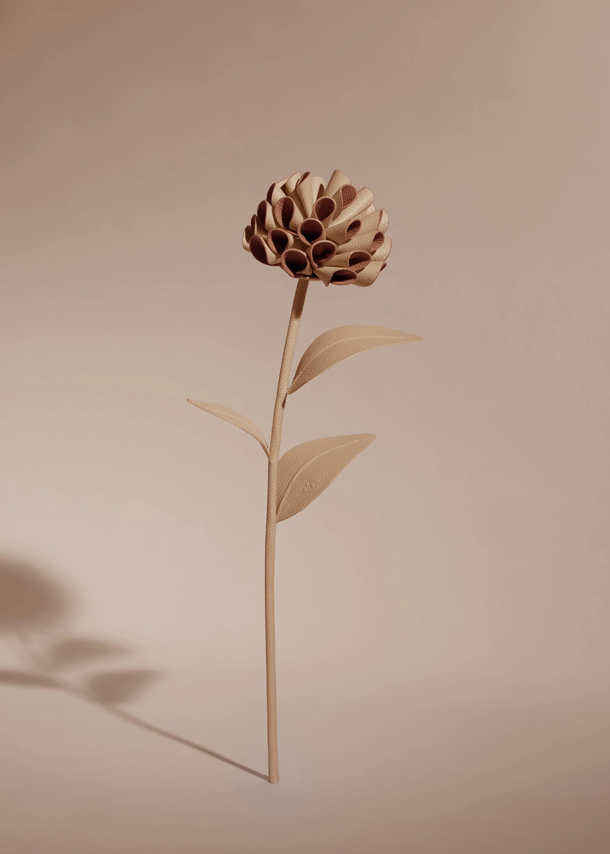 Dalium Flower - Beige - Image 2