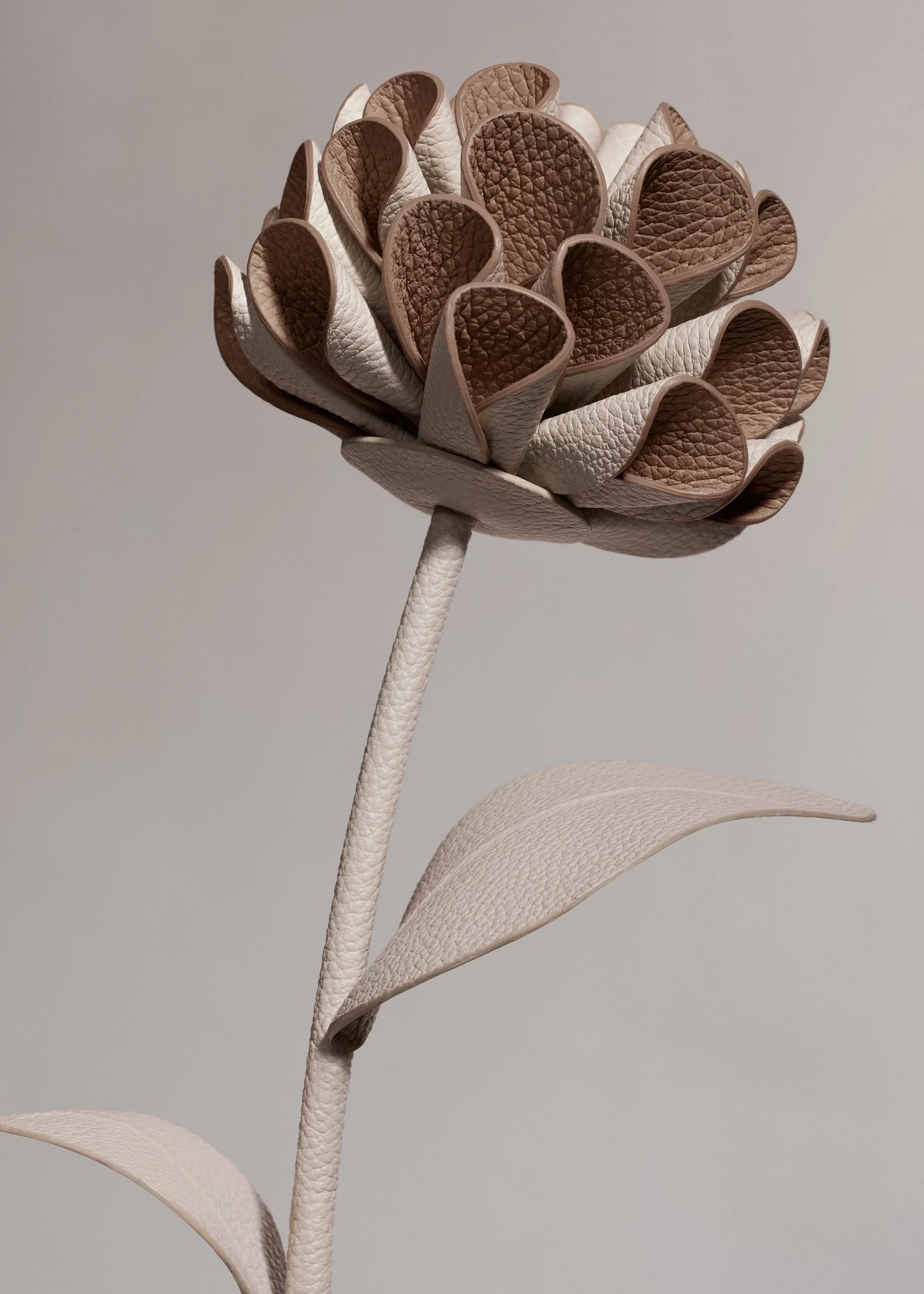 Dalium Flower - Chalk - Image 3