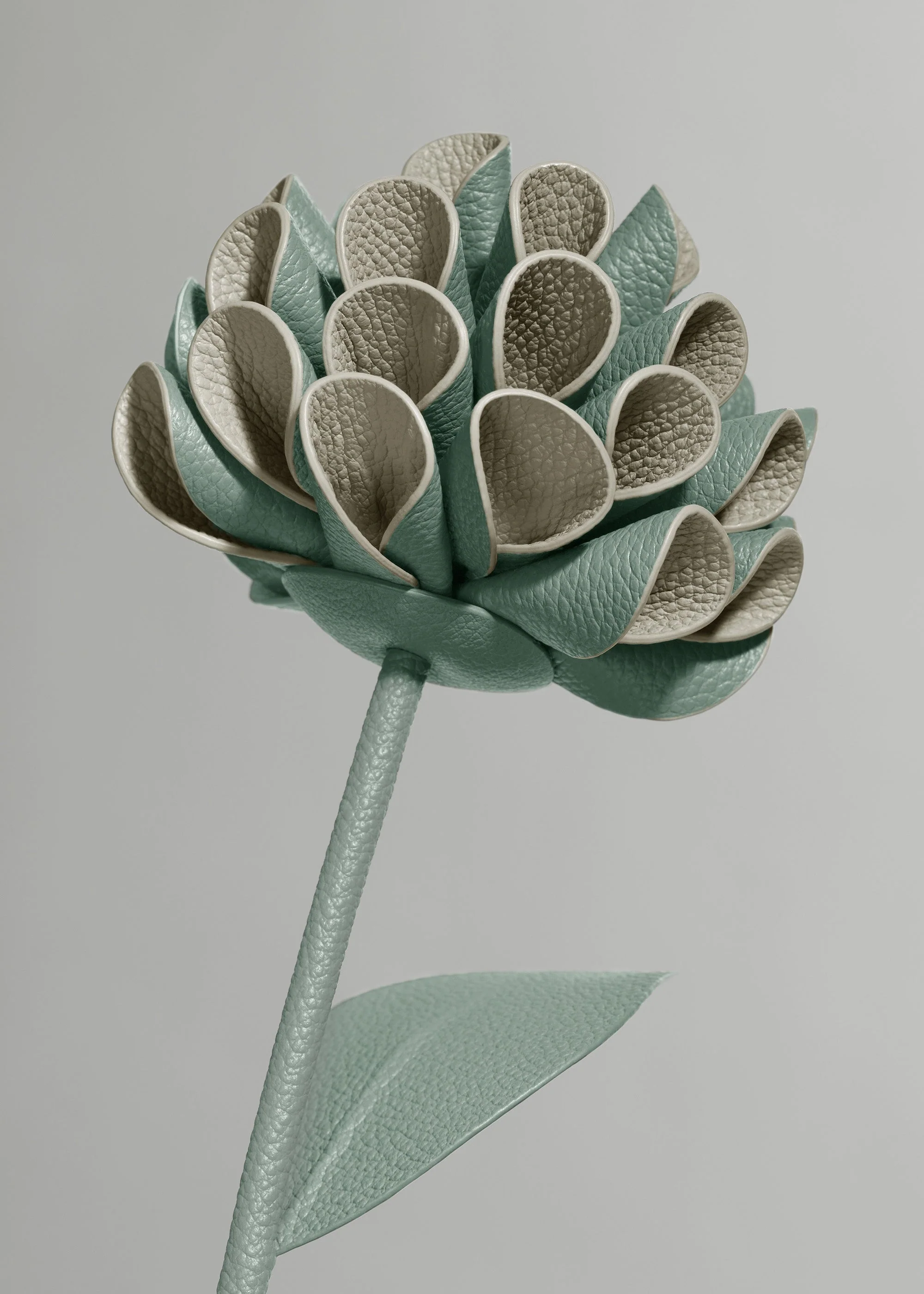 Dalium Flower - Fresh Almond - Image 3
