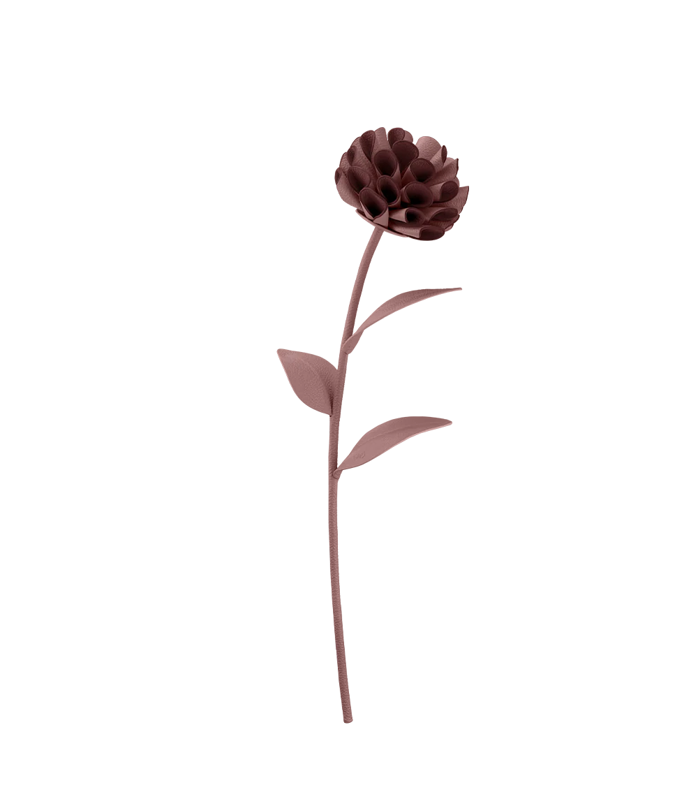 Dalium Flower - Lilac