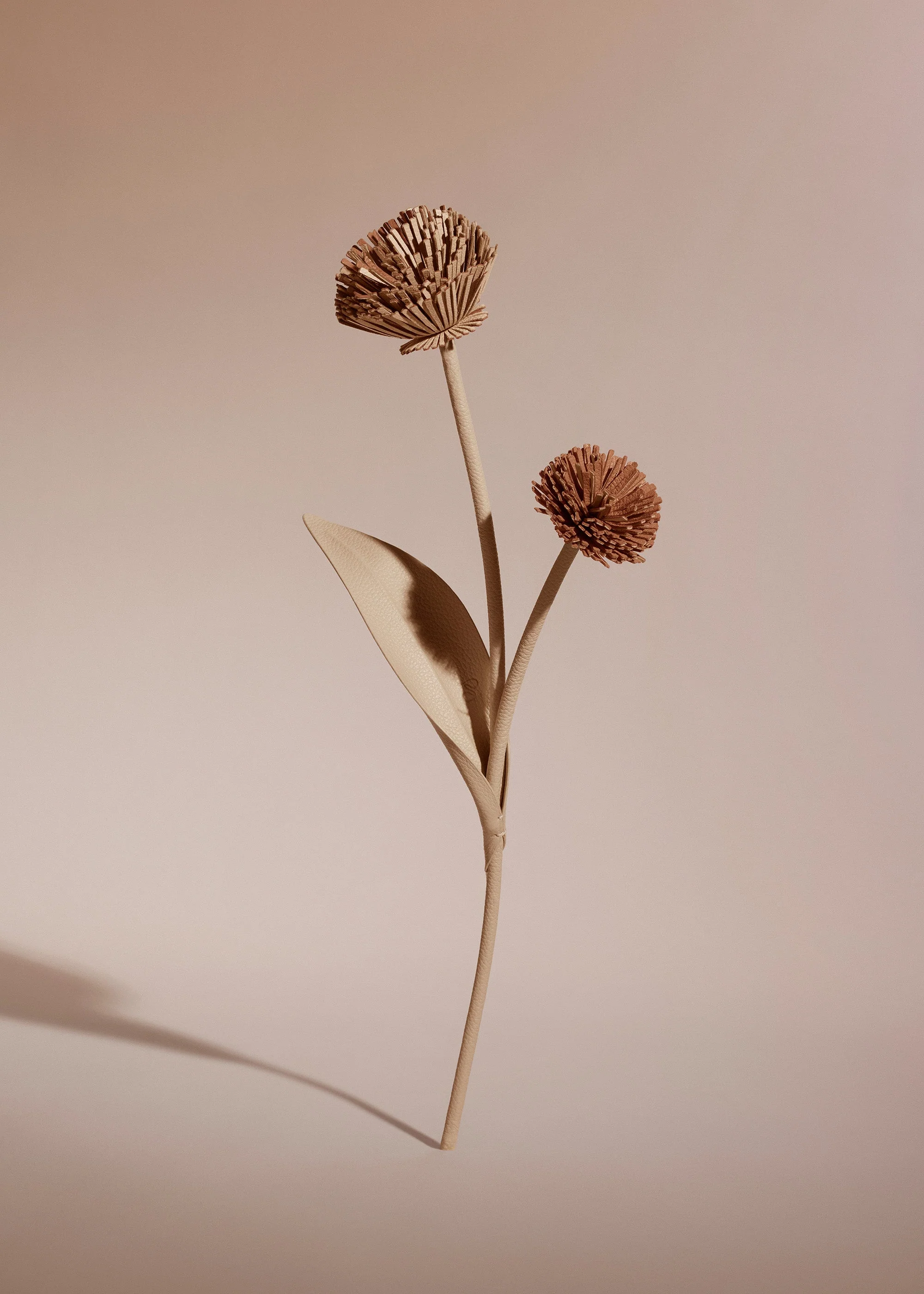 Tul Flower - Beige - Image 2