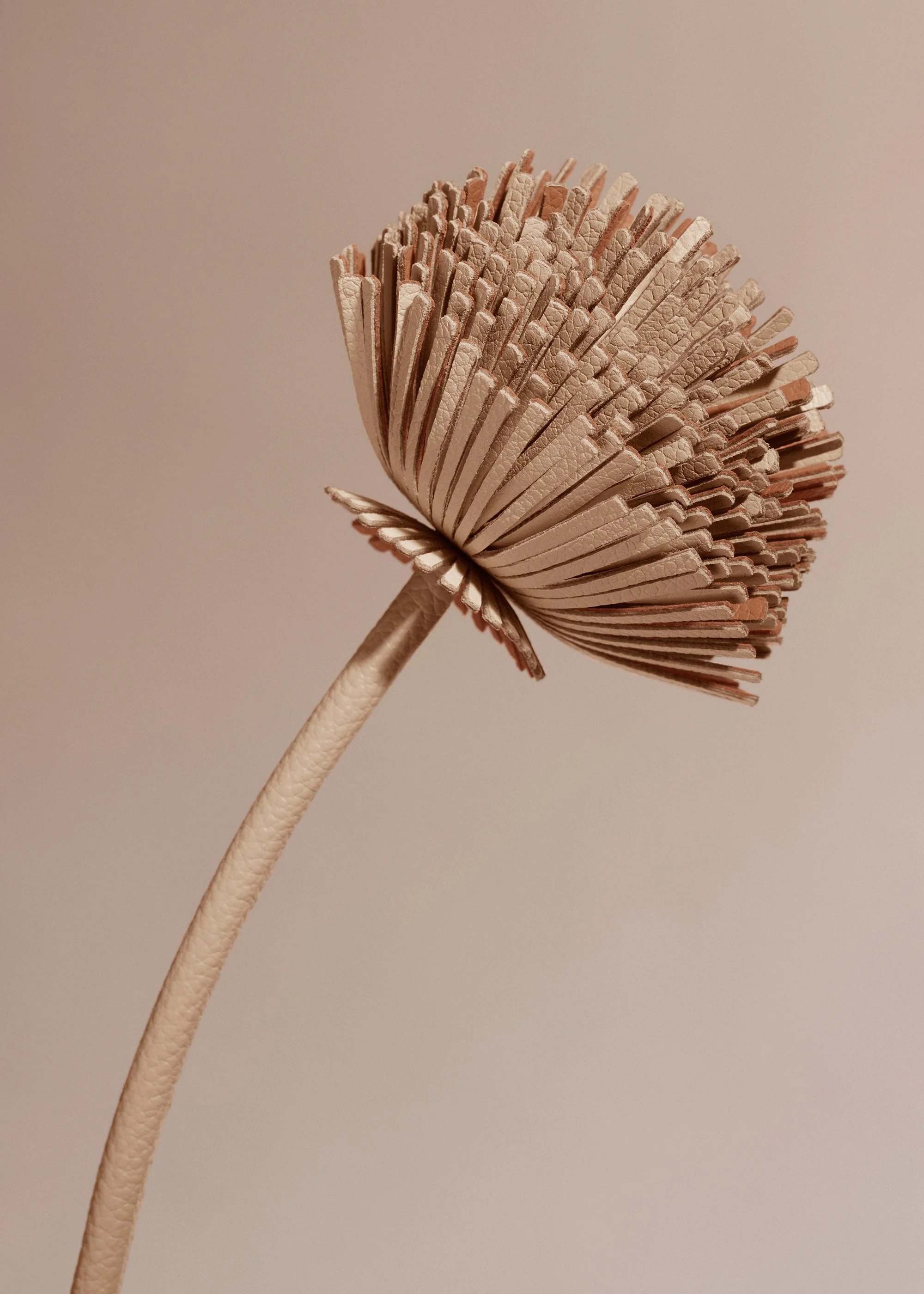 Tul Flower - Beige - Image 3